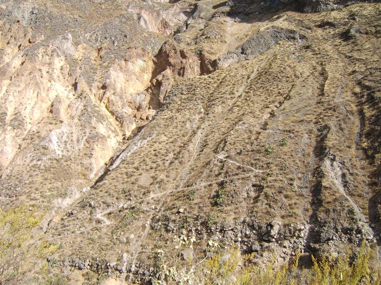 An outdoor session in mountain air